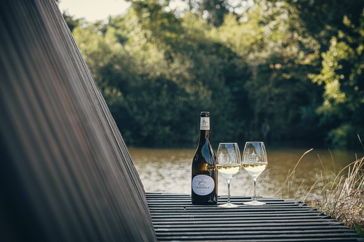 Accueil, Domaine Gadais P&egrave;re &amp; Fils