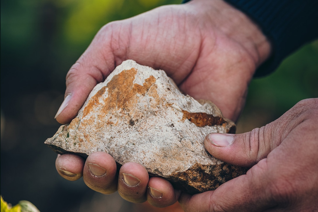 Accueil, Domaine Gadais P&egrave;re &amp; Fils
